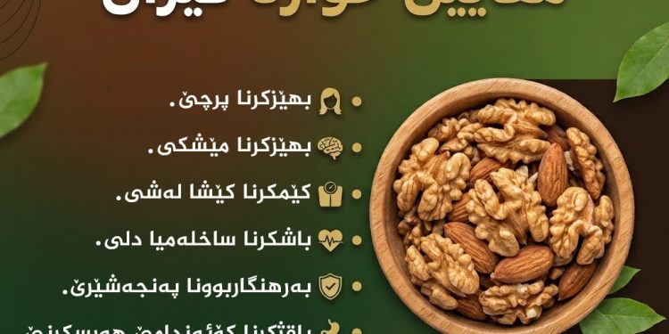 مفایێن خوارنا گیزان